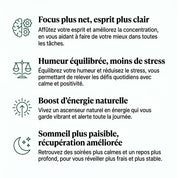 ROVIA™ - Rhodiola Complex – Stress ,Sommeil, Énergie & Focus.